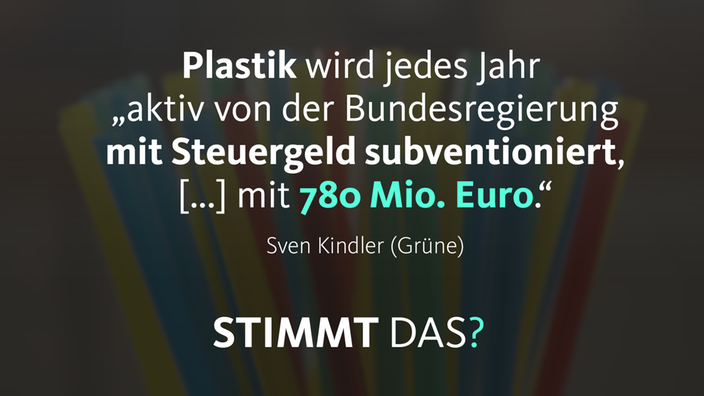 Sven Kindler (Grüne) sagt zur Plastikproduktion sie werde jedes Jahr "aktiv von der Bundesregierung mit Steuergeld subventioniert, mit 780 Mio. Euro"