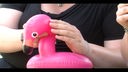 Rock Hard Festival 2017: Diebstahl Flamingo