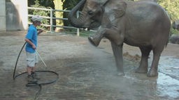 Elefantenpflegerin Vanessa zeigt ihren Job