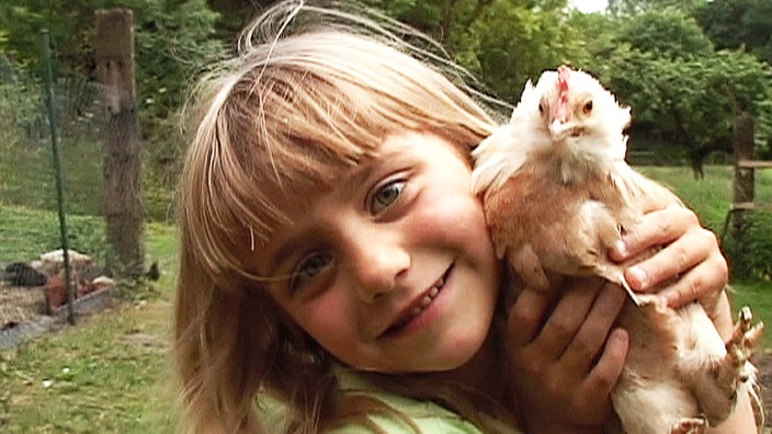 Wie macht der Hahn • Elefant und Hase im Frühling • Hühner auf dem Bauernhof • „Grille Zirp und das Huhn“ • Anke und Denis raten Tiere • Elefant und Hase im Sommer