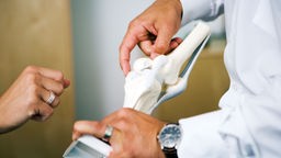 Das Bild zeigt einen Arzt, der seiner Patientin ein Knie-Gelenk erklärt.