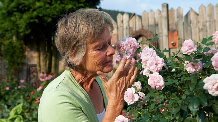 Garten Und Lecker Romantischer Rosengarten Im Sauerland