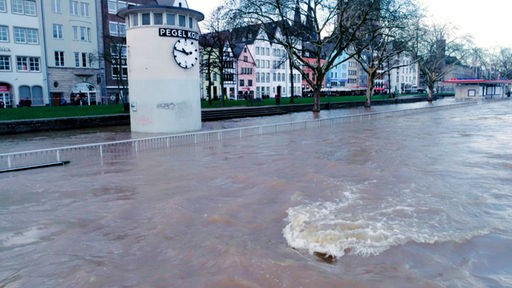 Das Kölner Ufer überschwemmt, im Hintergrund Häuser
