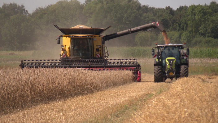 Ein Mähdrescher und ein Traktor während der Ernte auf einem Getreidefeld