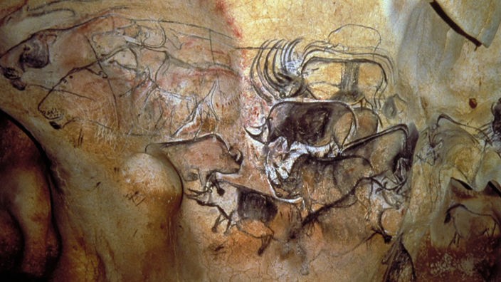 Zeichnungen von wilden Tieren an der Wand einer Höhle