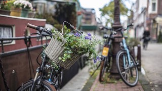 Fahrrad mit Blumen geschmückten Fahrradkorb an der Lijnbaansgracht Centrum in Amsterdam. Mit Hausbooten im Hintergrund.