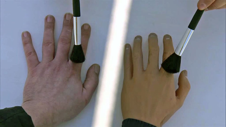 Eine Hand und eine Gummihand werden mit einem Pinsel gestreichelt  