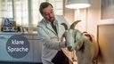 Prof. Boerne (Jan Josel Liefers) kümmert sich um Ziege Mimi.