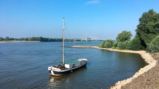 Ein sogenannter "Schokker", ein Fischerboot, liegt am Rheinufer bei Rees.