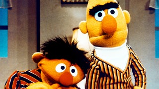 Ernie und Bert von der Sesamstraße