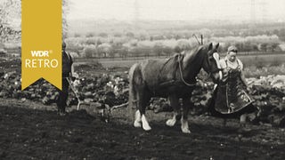 Bauern auf dem Feld, mit Pferd und Pflug