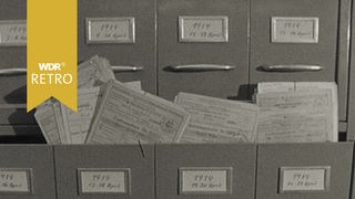 Mehere Archivschränke in denen Unterlagen zu sehen sind