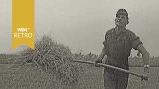 Ein Mann hält einen Stab mit einer Ladung Heu in den Händen