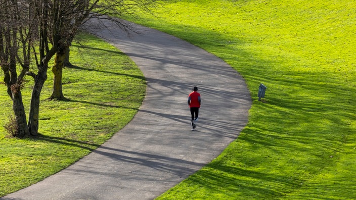 Ein Jogger läuft am Morgen bei Sonnenschein in der Bonner Rheinaue