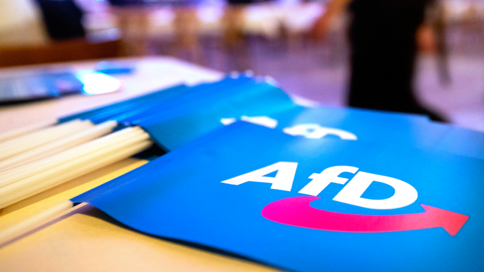Fähnchen mit dem Logo der AfD liegen auf einem Tisch.