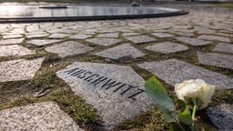 Im Bild ist ein Gedenkstein im Denkmal für die im Nationalsozialismus ermordeten Sinti und Roma Europas zu sehen.