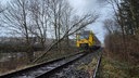 Baum auf Gleisen wegen Unwetter