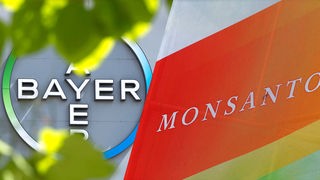 Logo Bayerwerk und Logo Monsanto