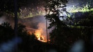 Feuer in einem Wald bei Nacht