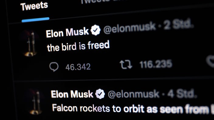 Tweet von Elon Musk in dem steht "the bird is freed".
