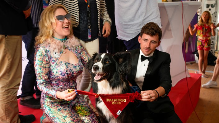 Border Colllie "Messi" wurde in Cannes mit dem "Palm Dog Award" ausgezeichnet - bei der Verleihung vertrat ihn Border Collie "Stan"