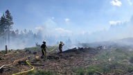 Feuerwehrleute aus Euskirchen und anliegenden Orten löschen einen Brand auf einer gerodeten Waldfläche