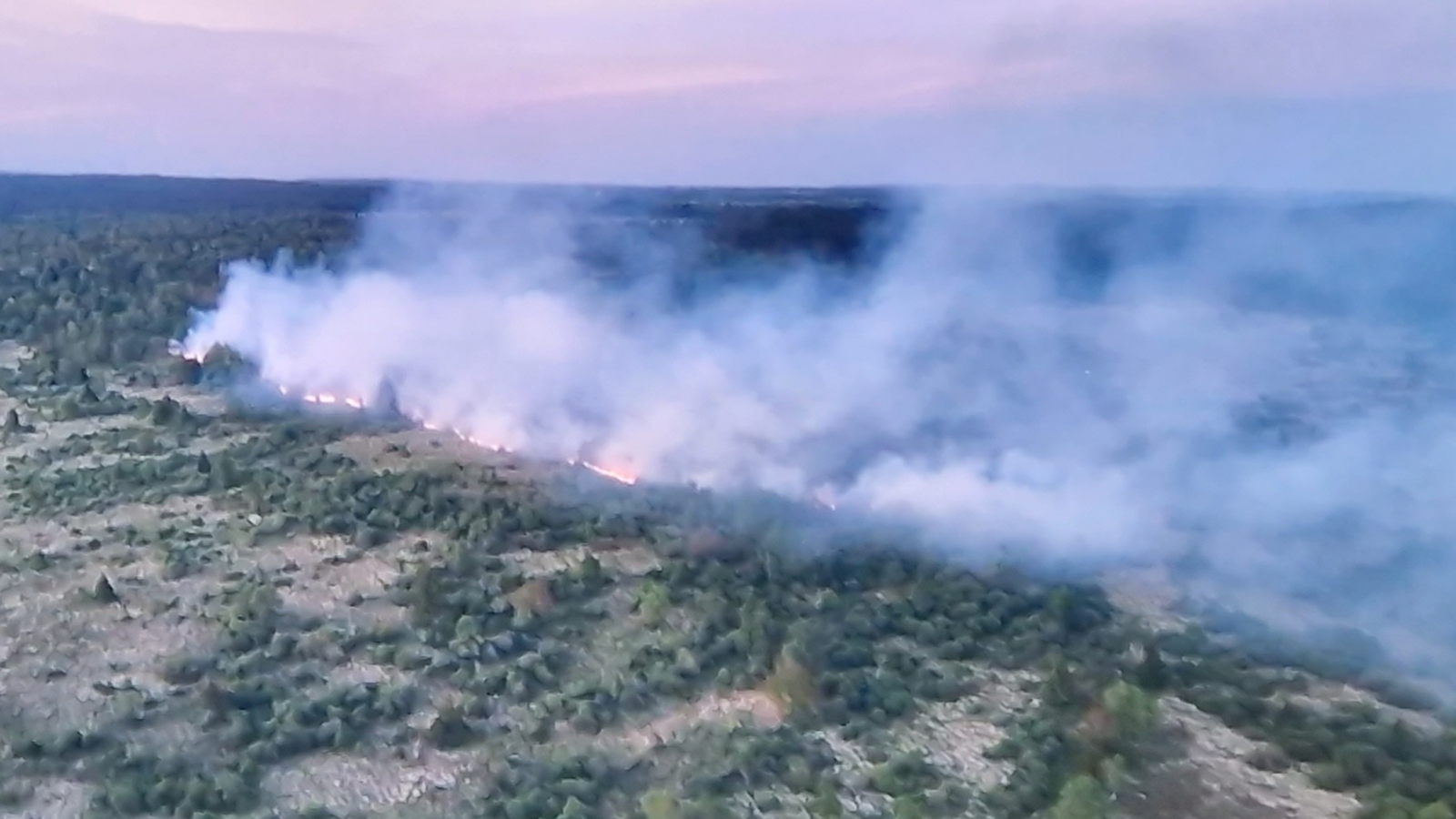 Feuer im Hohen Venn: Wie Moorbrände auf Umwelt und Klima wirken -  Nachrichten - WDR