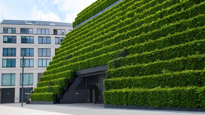 Ein Bürogebäude mit Grünfassade in Düsseldorf