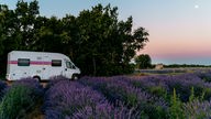Camper in einem Lavendelfeld 