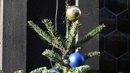 Kugeln hängen an einem Ast eines Weihnachtsbaum