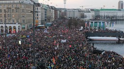 Mehrere tausend Menschen versammelten sich in Hamburg am Jungfernstieg für eine Demo gegen Rechtsextremismus.