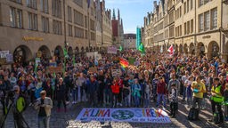 Fridays for Future: Demonstration in Münster