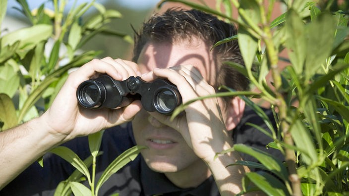 Mann schaut mit Fernglas durch Büsche