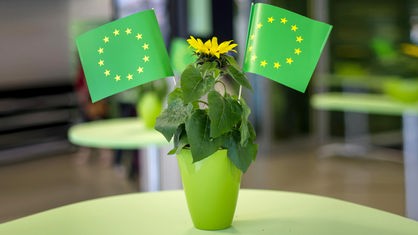 Eine Blume und EU-Flaggen in Grün.