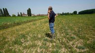 Die schlimmste Dürre, die Italien seit 70 Jahren erlebt hat, lässt die Reisfelder in der Poebene austrocknen und gefährdet die kostbare Ernte.