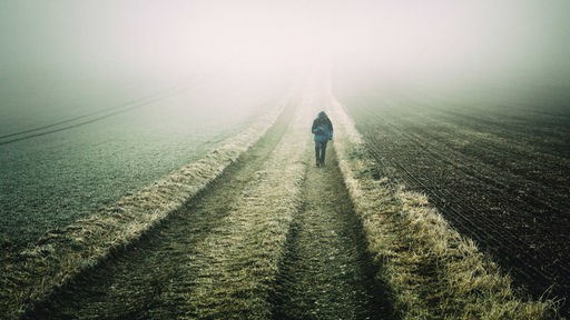 Mensch auf Feldweg im Nebel