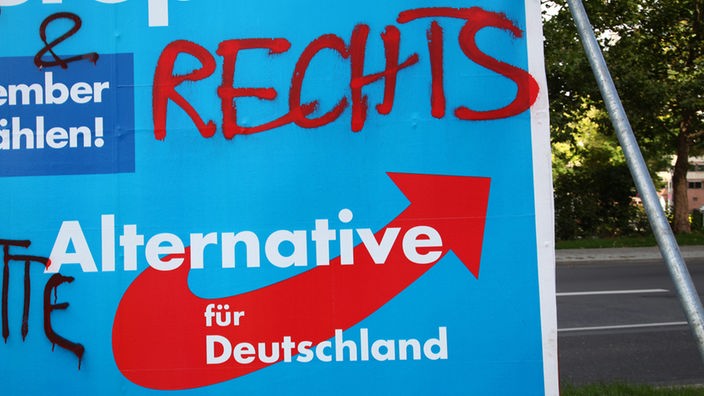 Wahlplakat der "Alternative für Deutschland"