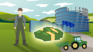 Welche Subventionen bekommen Landwirte in Europa von der EU