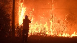 Ein Feuerwehrmann versucht ein Buschfeuer in Australien zu löschen
