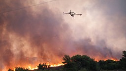 Waldbrand im Norden von Athen