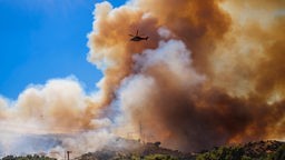 Feuer in Kalifornien USA
