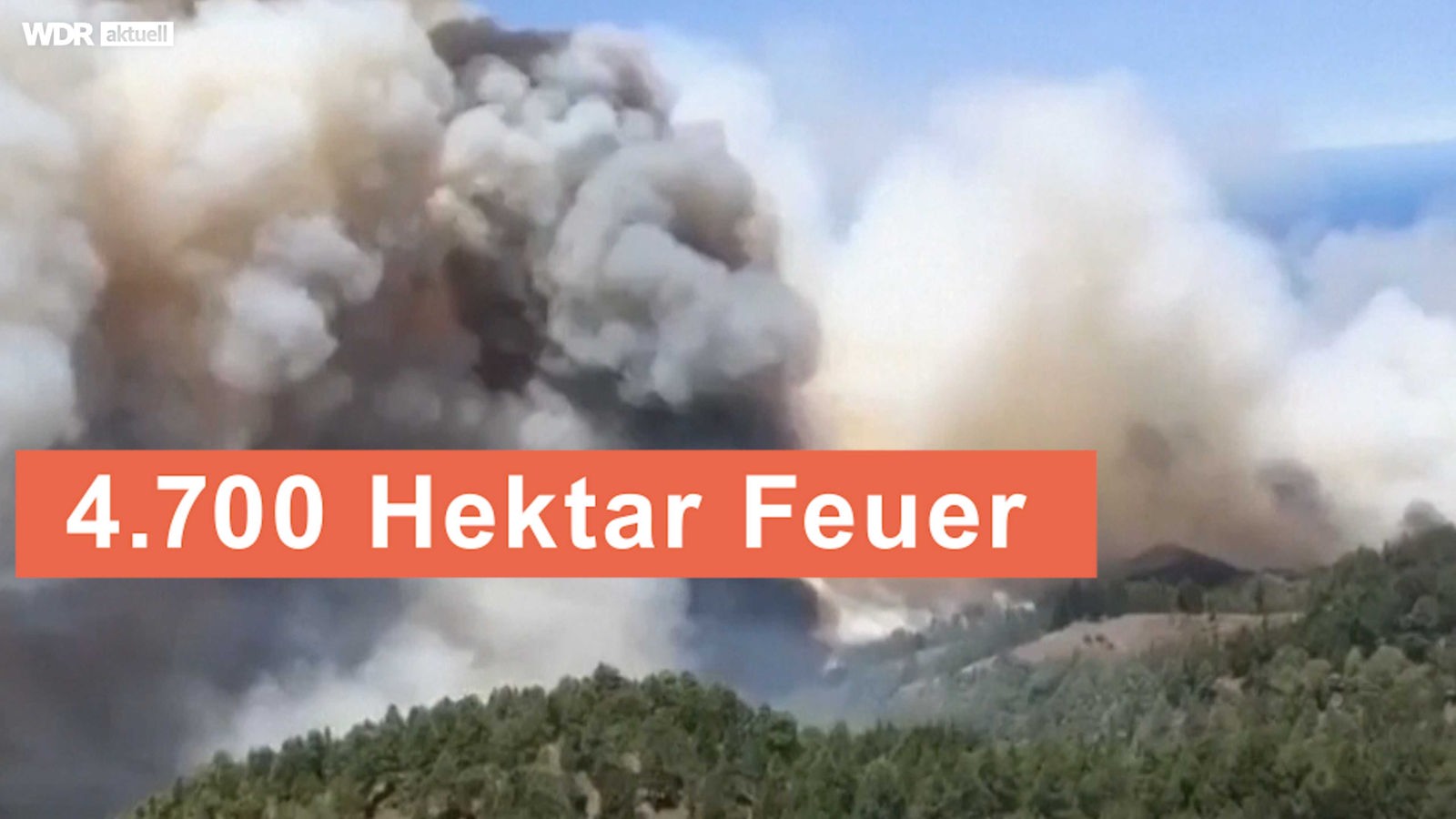 Ondata di caldo nell’Europa meridionale – gli incendi boschivi alla Palma contenuti – notizie – WDR – notizie