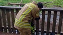 Feuerwehr befreit Fünfjährige aus Geländer
