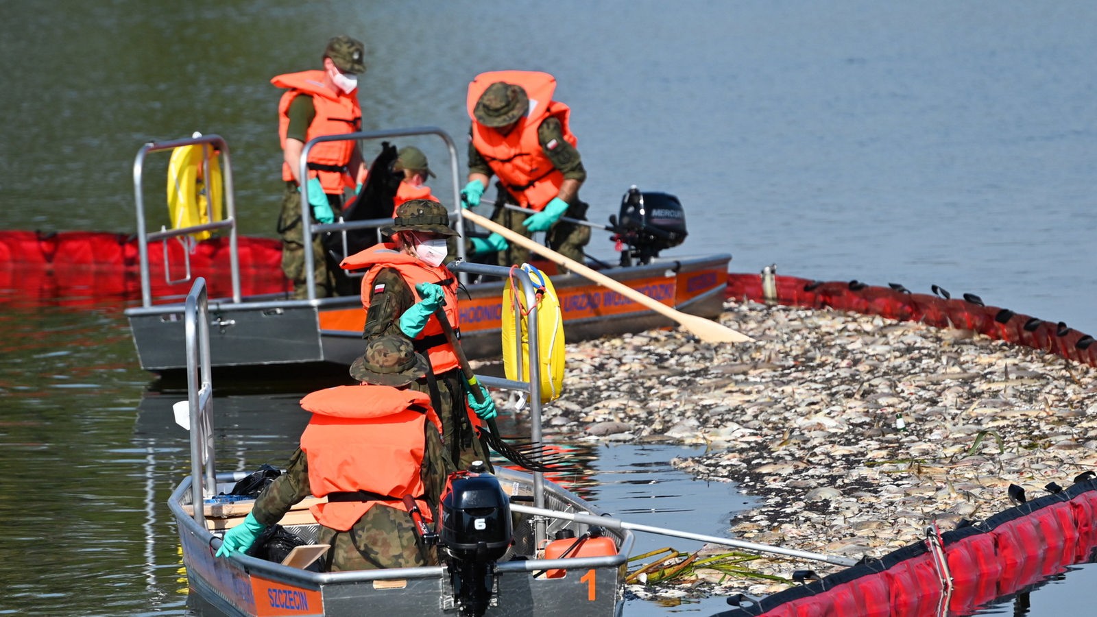 Po śmierci ryb w Odrze: Jak kontrolowana jest woda w NRW?  – Aktualności