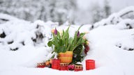 Kerzen und Blumen im Schnee für Luise