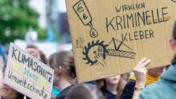 Fridays for Future: Demonstrantin bei Klimaprotest 2019