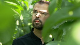 Gemüsezüchter Stefan Hoffmann zwischen grünen Pflanzen