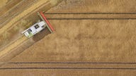Herzebrock-Clarholz: Ein Mähdrescher erntet Getreide auf einem Feld mit Gerste