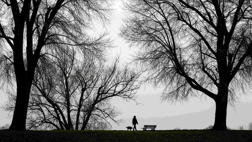 Person bei tristem Herbstwetter mit Hund beim Spaziergang im Park. 