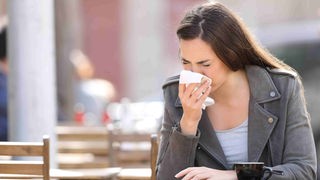 Bloß keine Grippe in den Ferien - die Zahl der Atemwegserkrankungen steigt aber gerade.